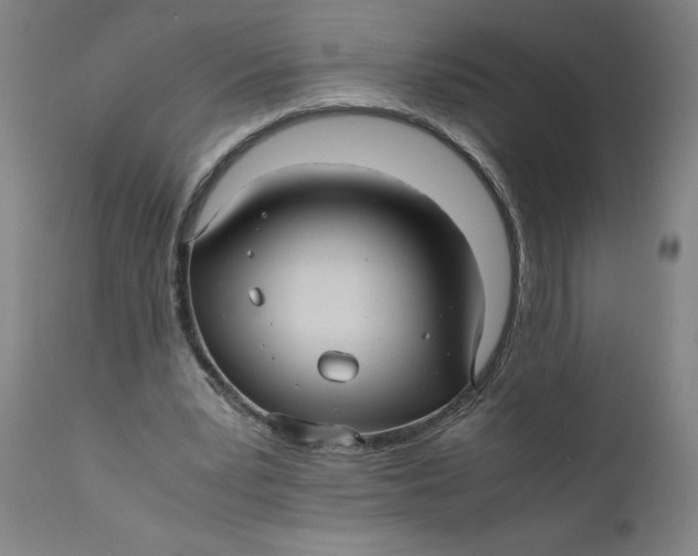 X0000111010391200907101321