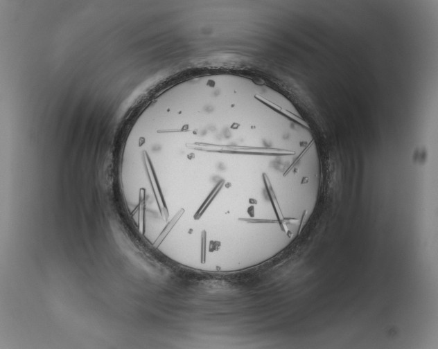 X0000111010392200907101321