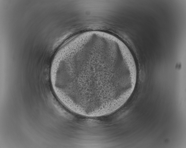 X0000111010393200907101321