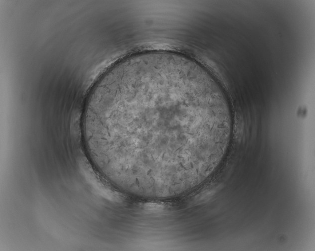 X0000111010394200907101321