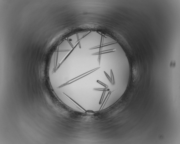 X0000111010396200907101321