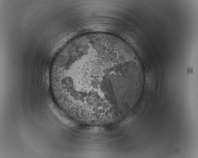 X0000111010398200907101321