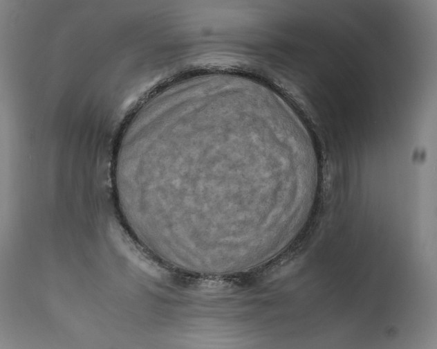 X0000111010399200907101321