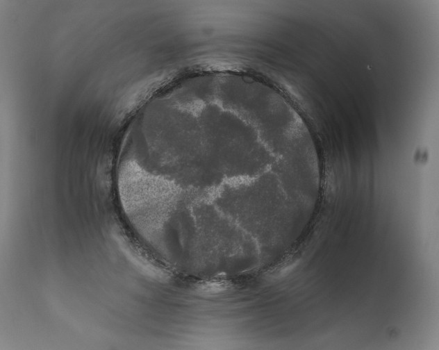 X0000111010402200907101321