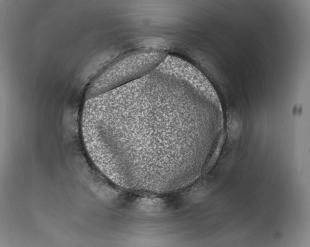 X0000111010403200907101321