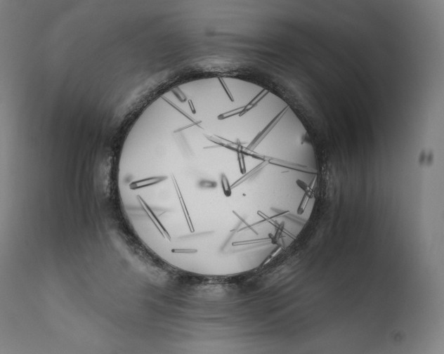X0000111010404200907101321