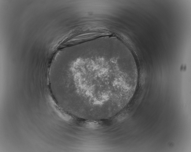 X0000111010405200907101321