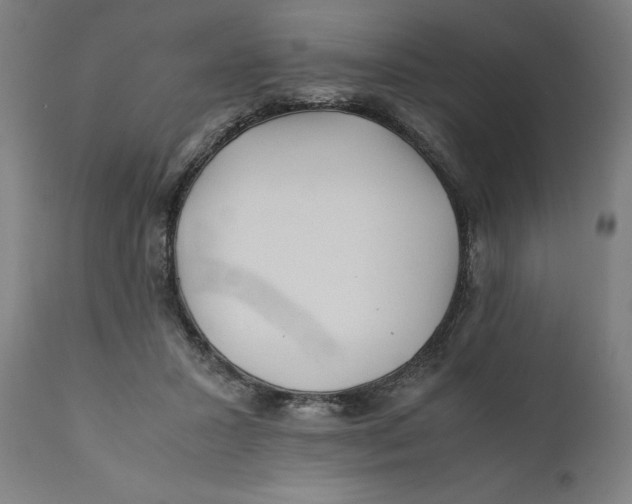 X0000111010407200907101321