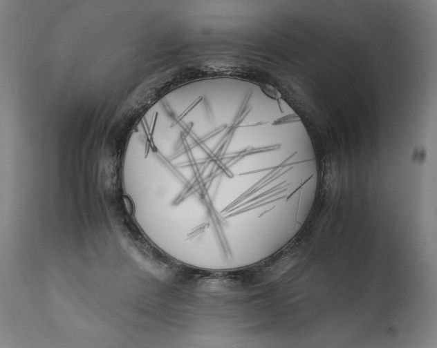 X0000111010408200907101321
