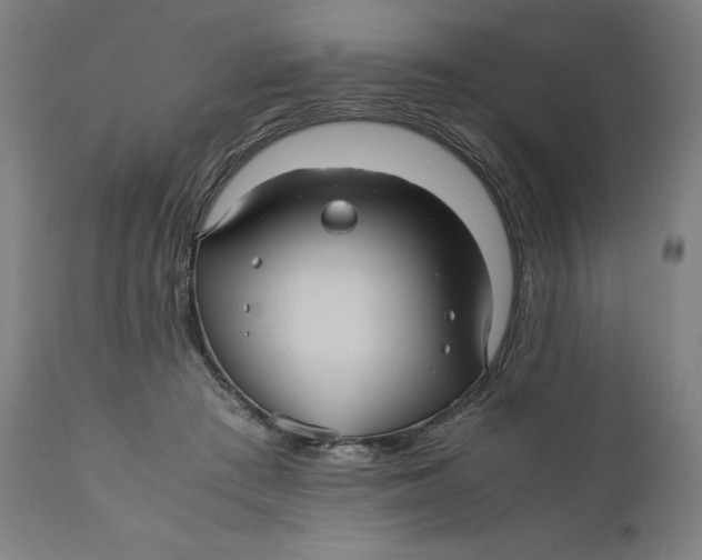 X0000111010409200907101321