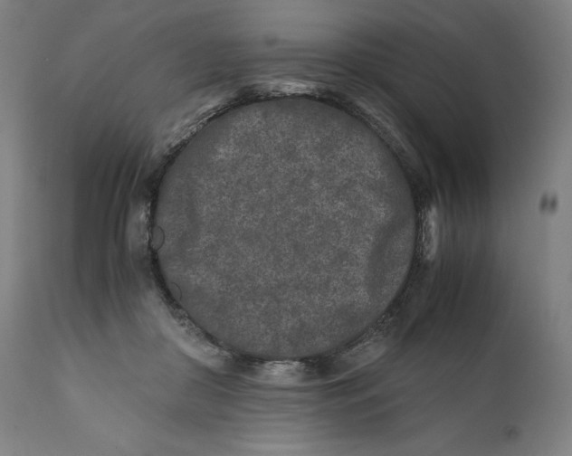 X0000111010410200907101321