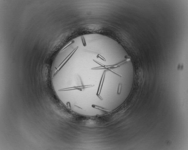 X0000111010412200907101321