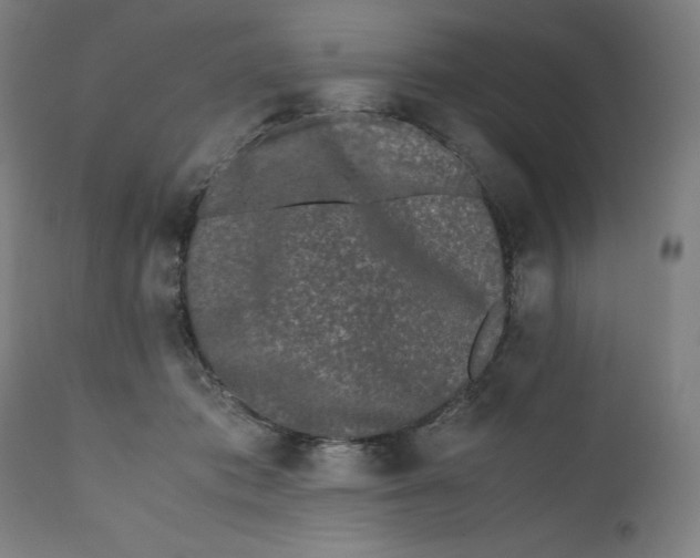 X0000111010413200907101321