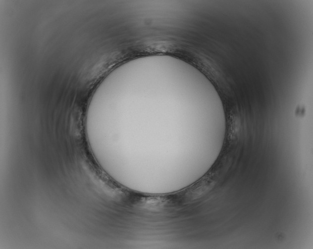 X0000111010414200907101321