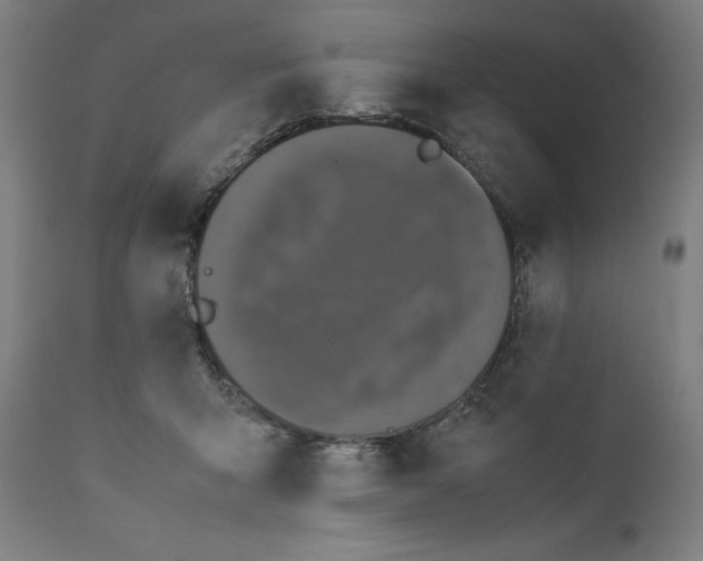 X0000111010415200907101321