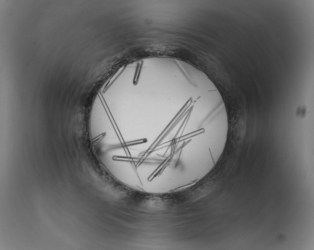 X0000111010416200907101321