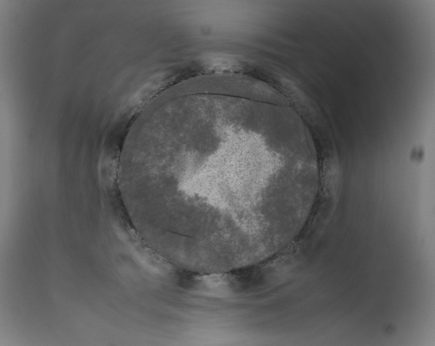 X0000111010417200907101321