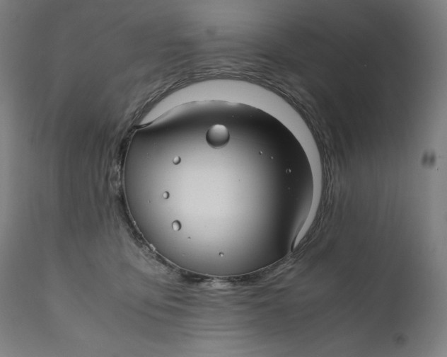 X0000111010419200907101320