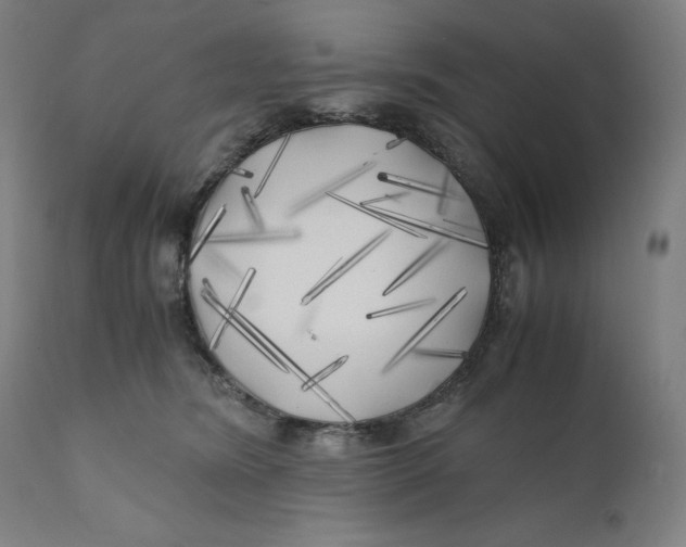 X0000111010420200907101320
