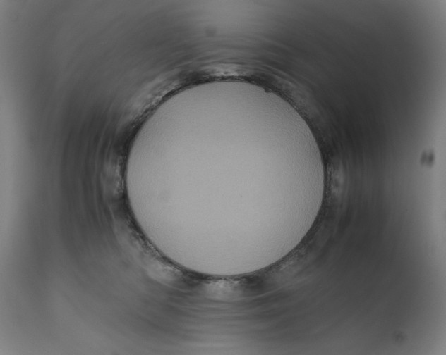 X0000111010422200907101320