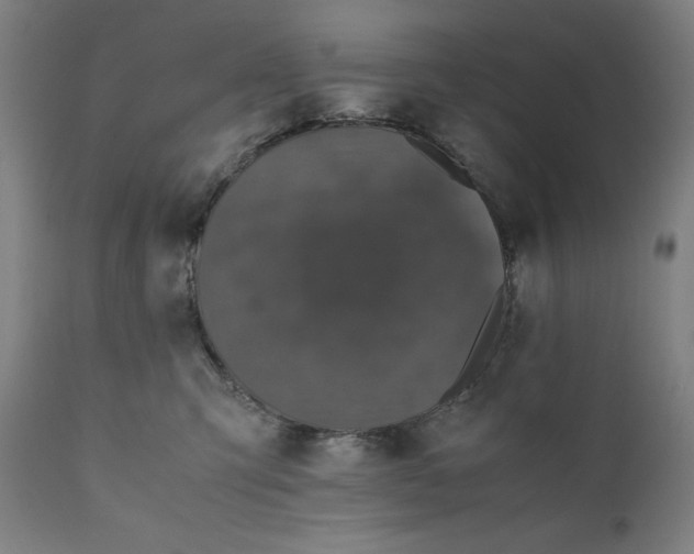 X0000111010423200907101320