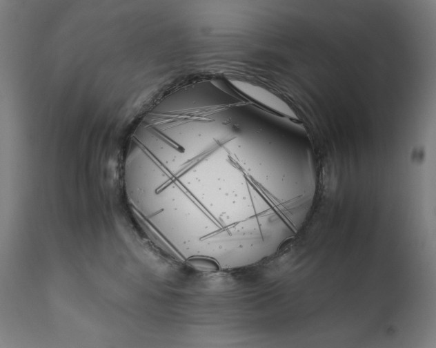 X0000111010424200907101320