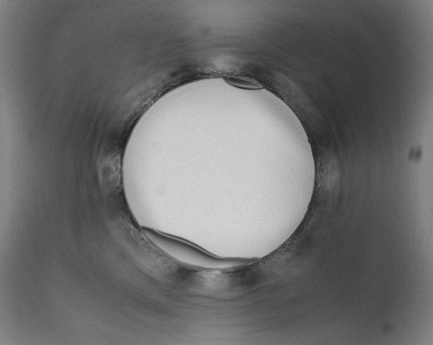 X0000111010425200907101320