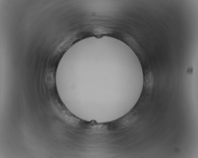 X0000111010426200907101320