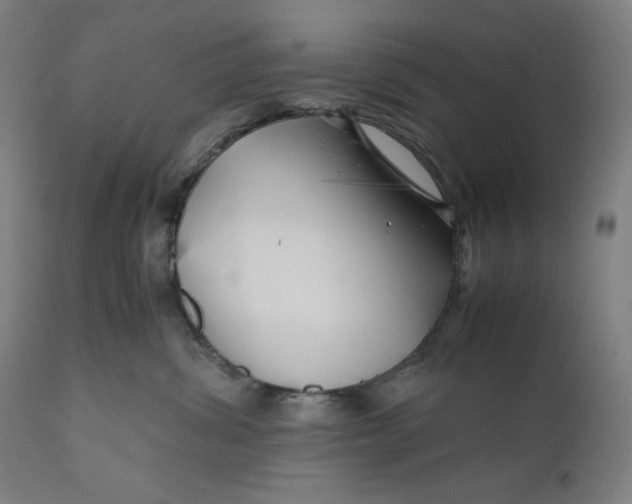 X0000111010428200907101320
