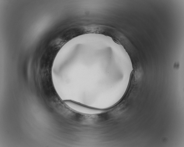 X0000111010429200907101320
