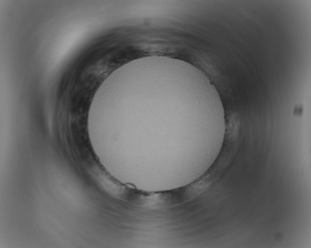 X0000111010430200907101320