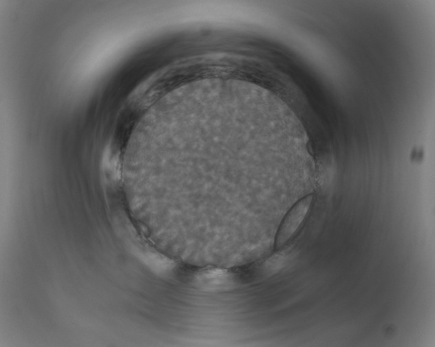 X0000111010431200907101320