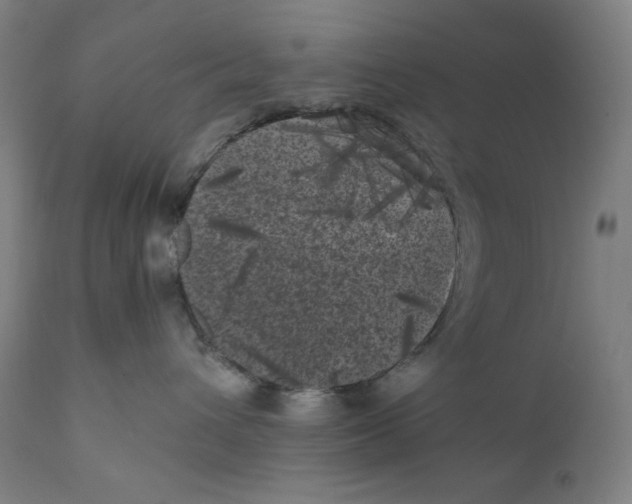X0000111010432200907101320