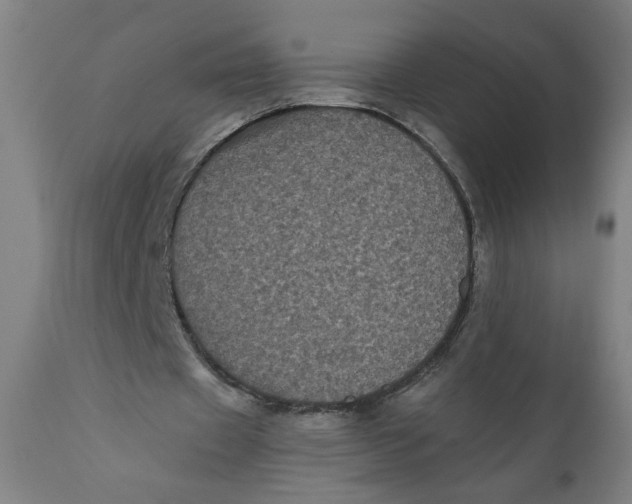 X0000111010433200907101320