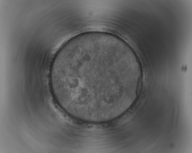 X0000111010434200907101320
