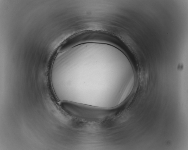 X0000111010436200907101320