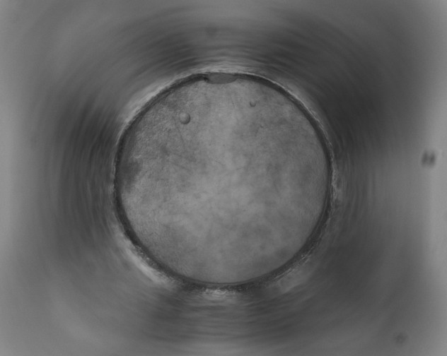 X0000111010437200907101320
