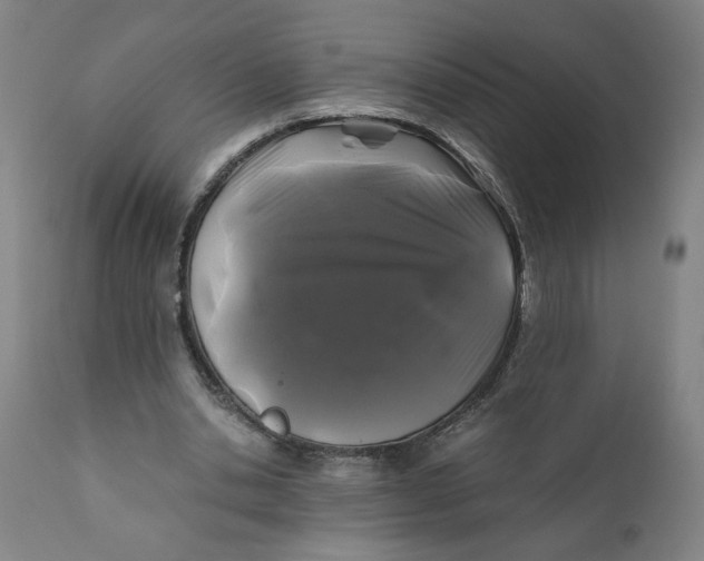 X0000111010438200907101320