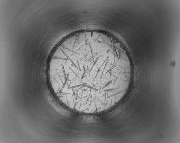 X0000111010439200907101320