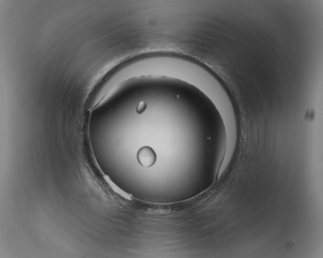 X0000111010440200907101320