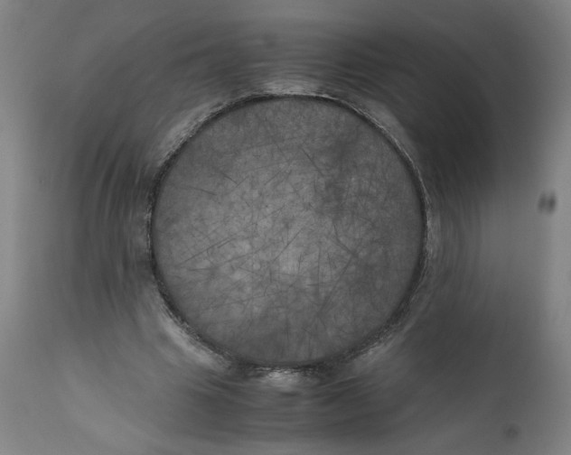 X0000111010441200907101320