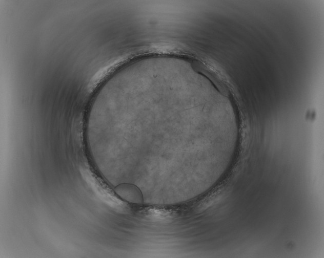 X0000111010442200907101320