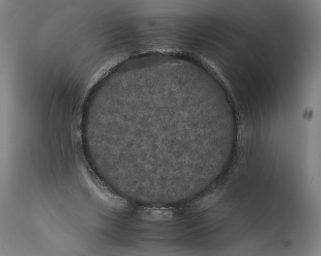 X0000111010443200907101320