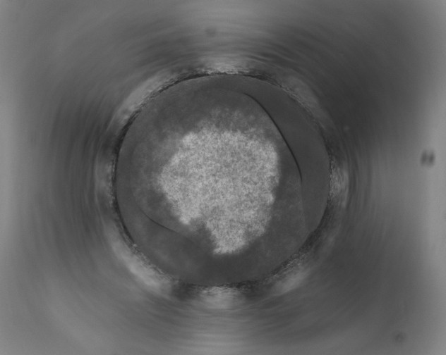 X0000111010444200907101320