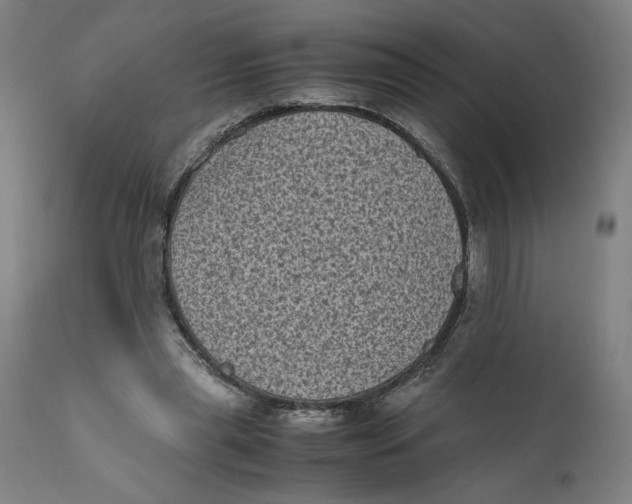 X0000111010445200907101320