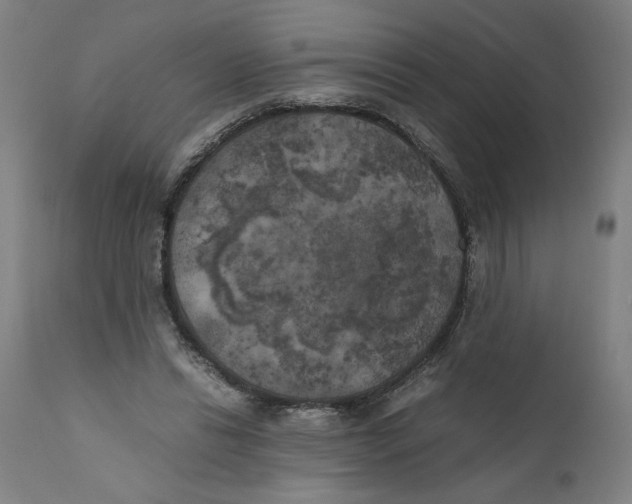 X0000111010446200907101320