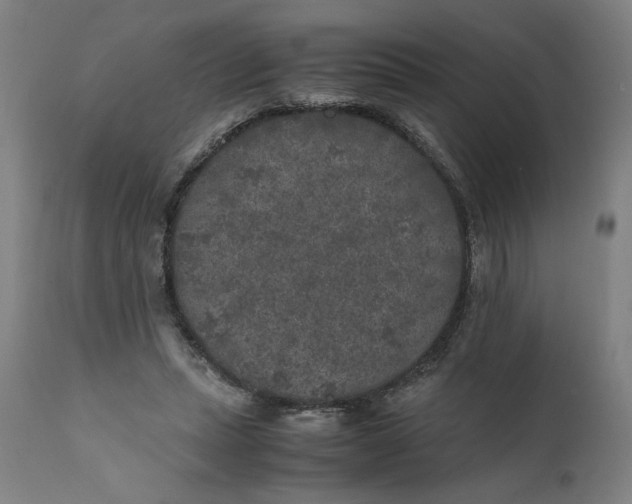 X0000111010447200907101320