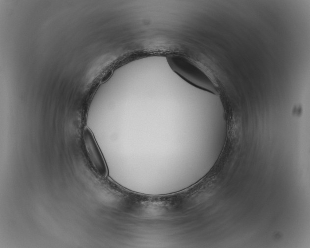 X0000111010448200907101320