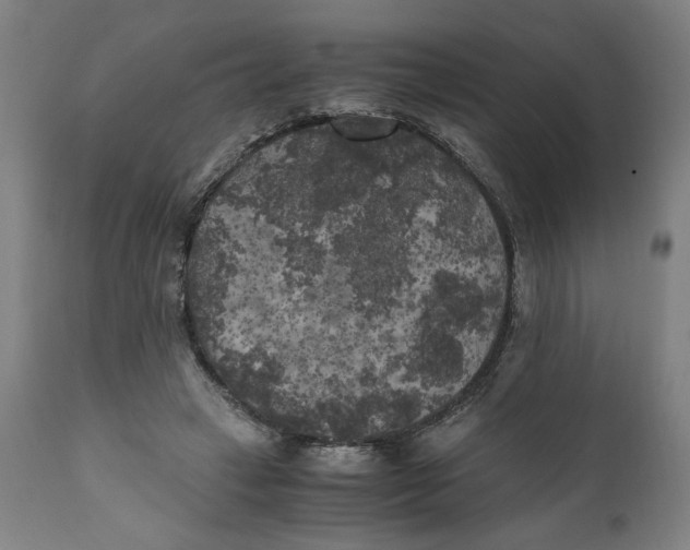 X0000111010449200907101320