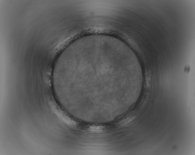 X0000111010450200907101320